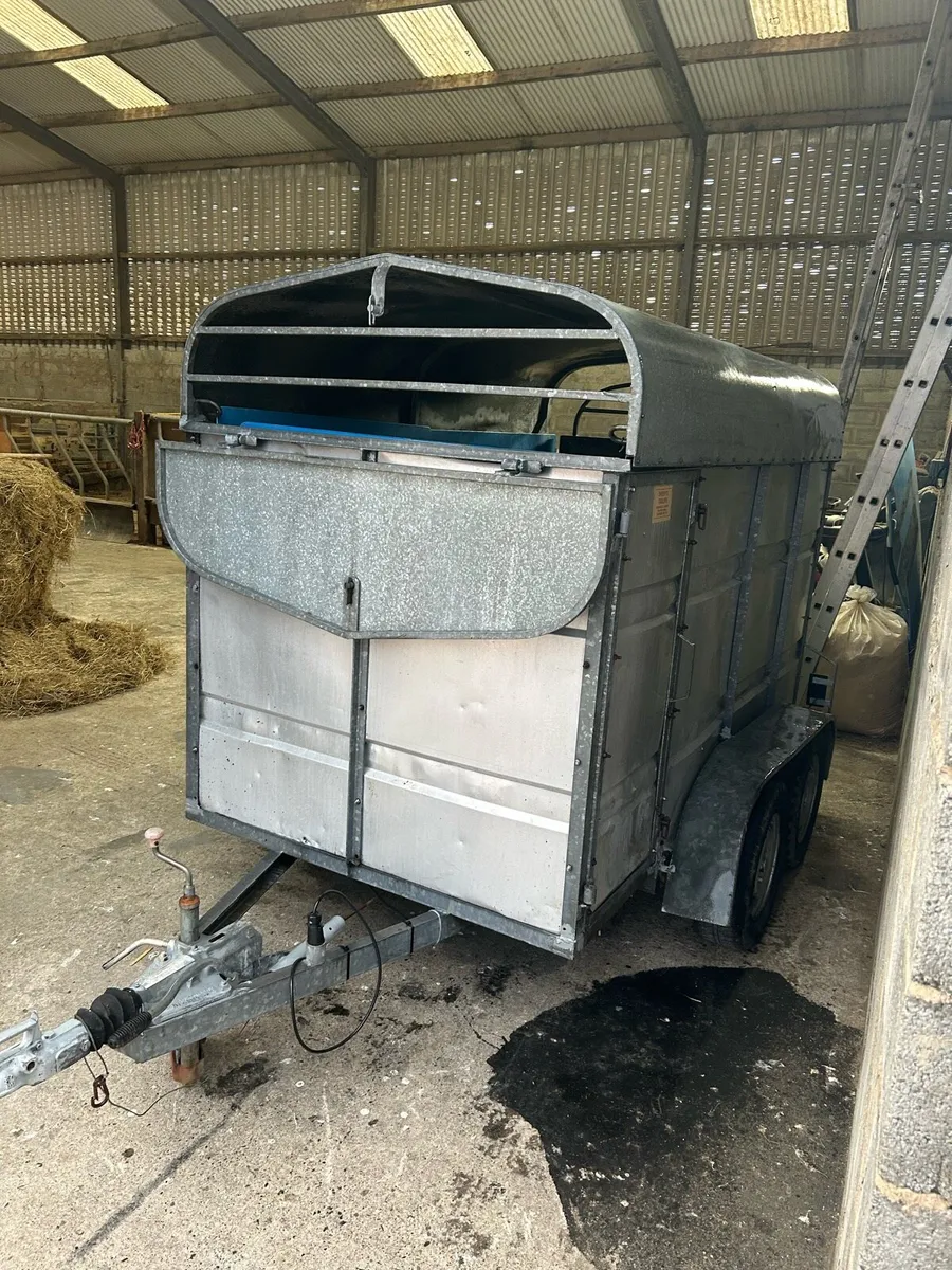 Jim Murphy 8x5 Cattle trailer - Image 3