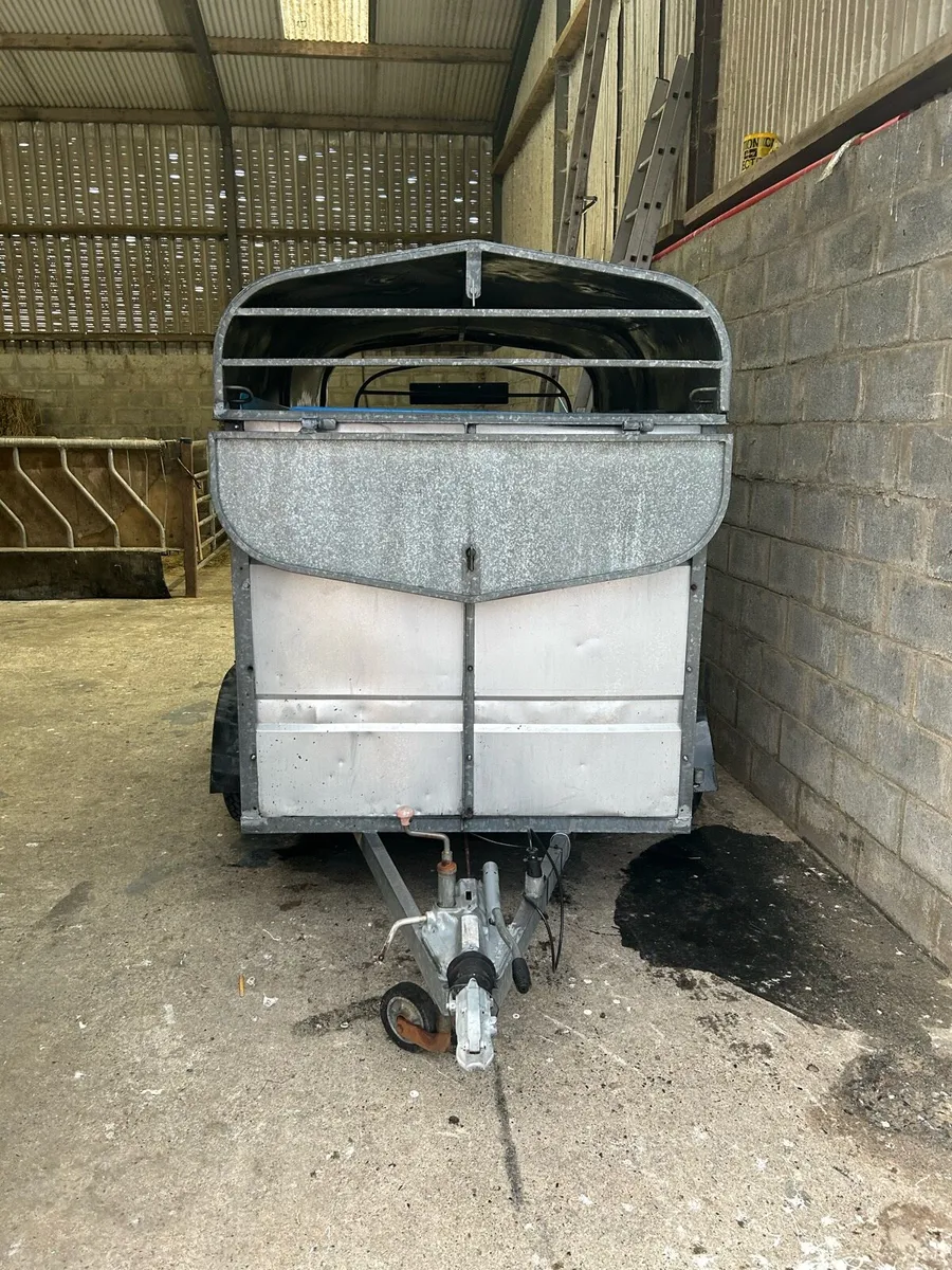 Jim Murphy 8x5 Cattle trailer - Image 4