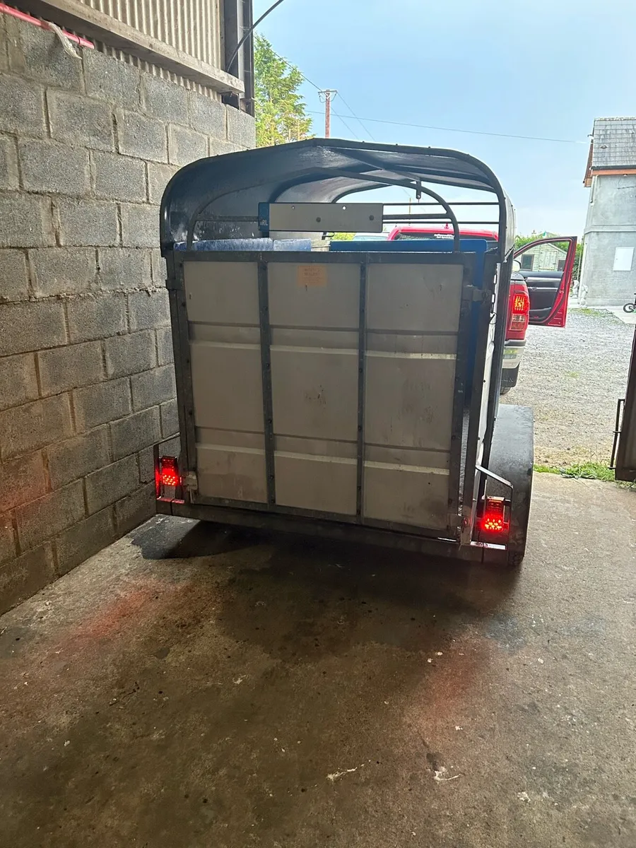 Jim Murphy 8x5 Cattle trailer - Image 1