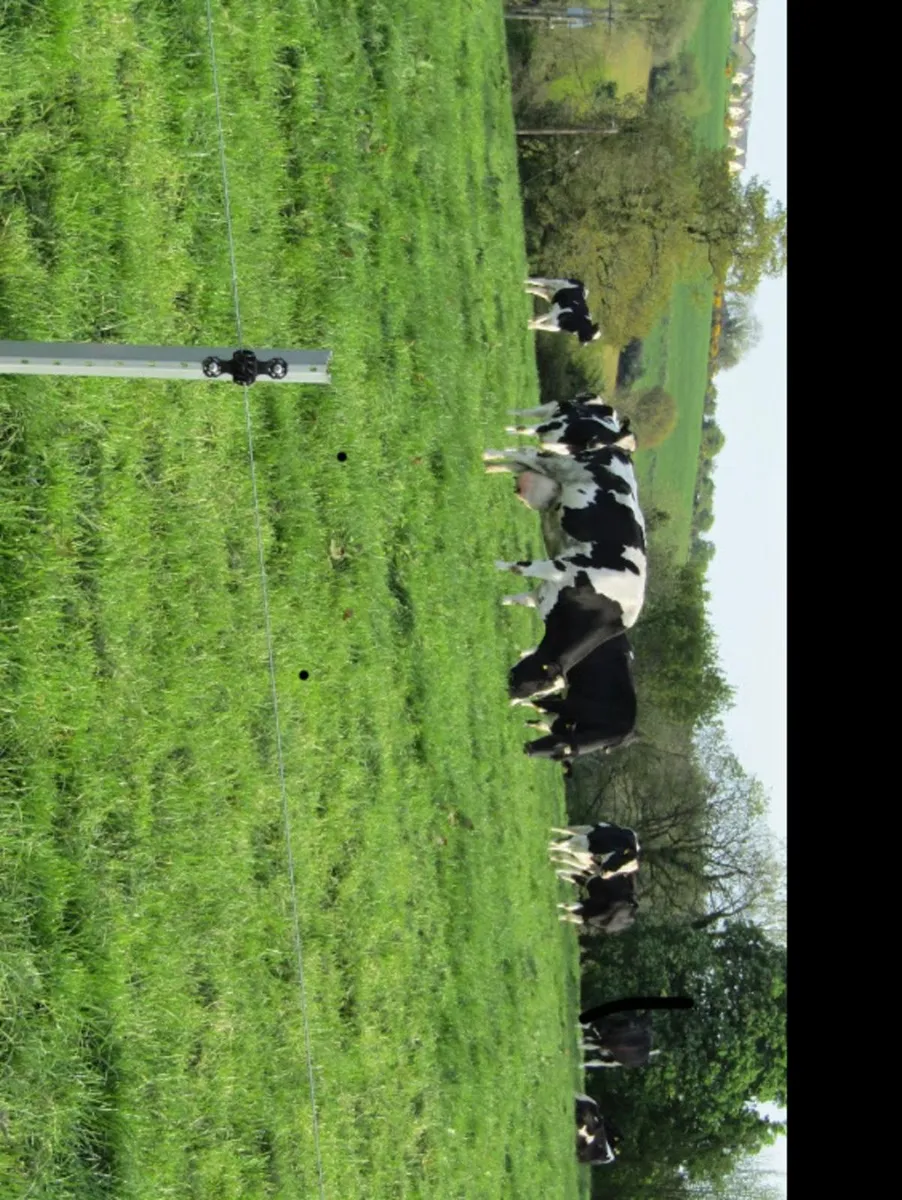 Versalock steel posts 2.5 meter €6:90 each plus va - Image 4