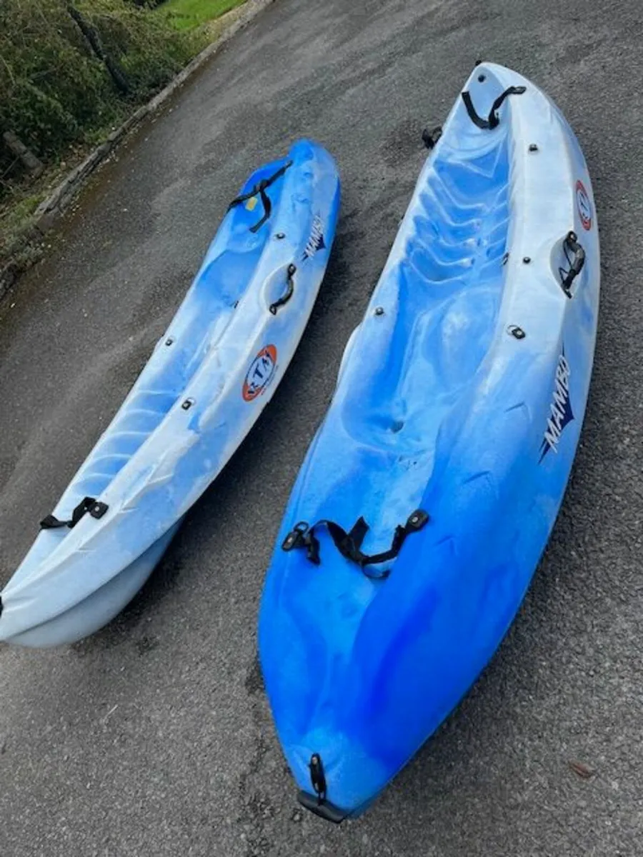 Kayaks - Image 1