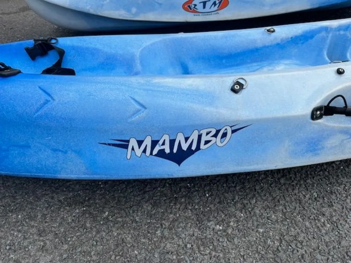 Kayaks - Image 2
