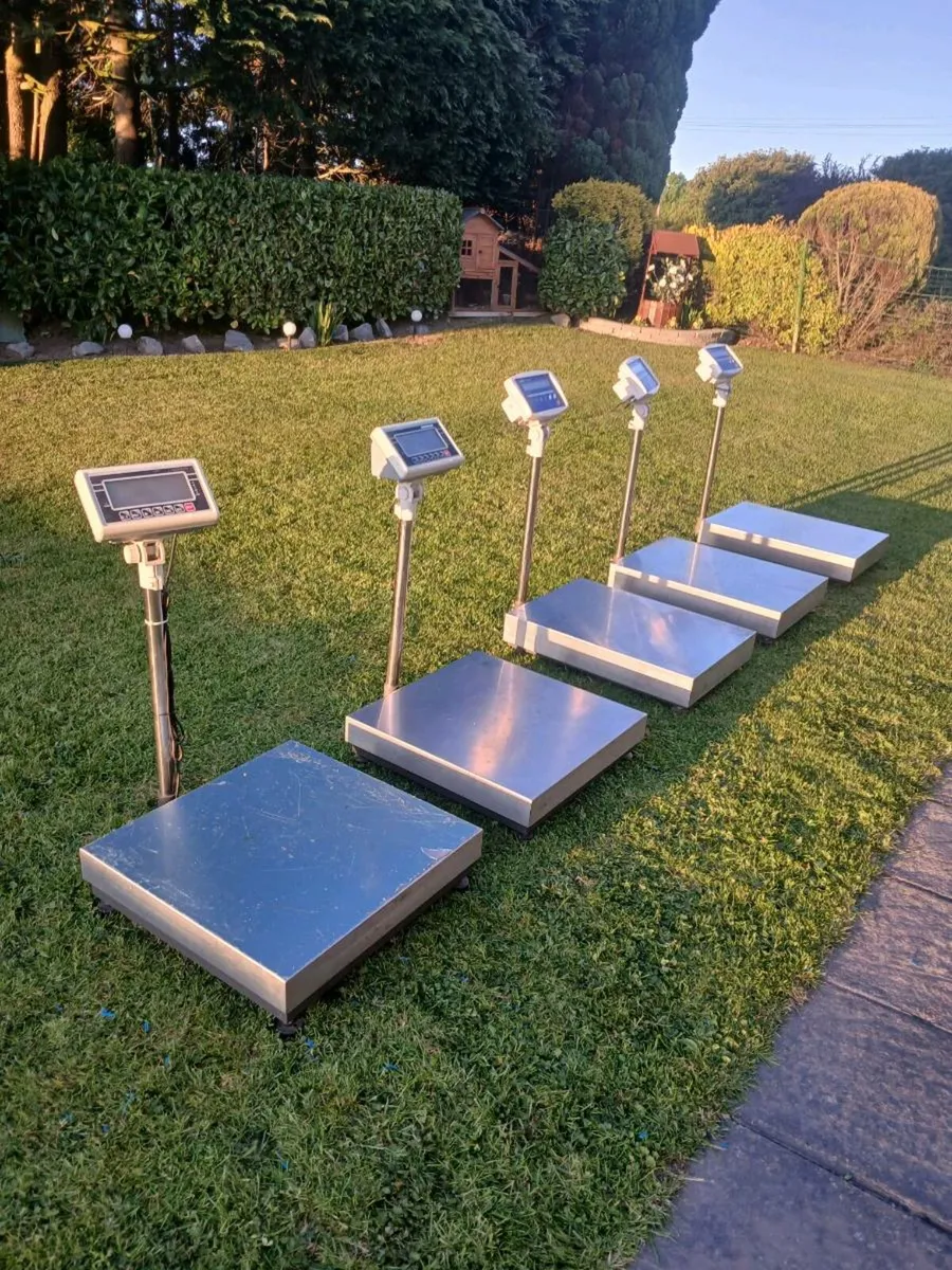 Industrial scales - Image 1