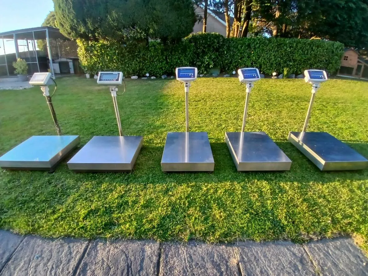 Industrial scales - Image 3