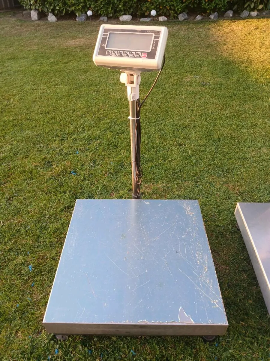 Industrial scales - Image 4
