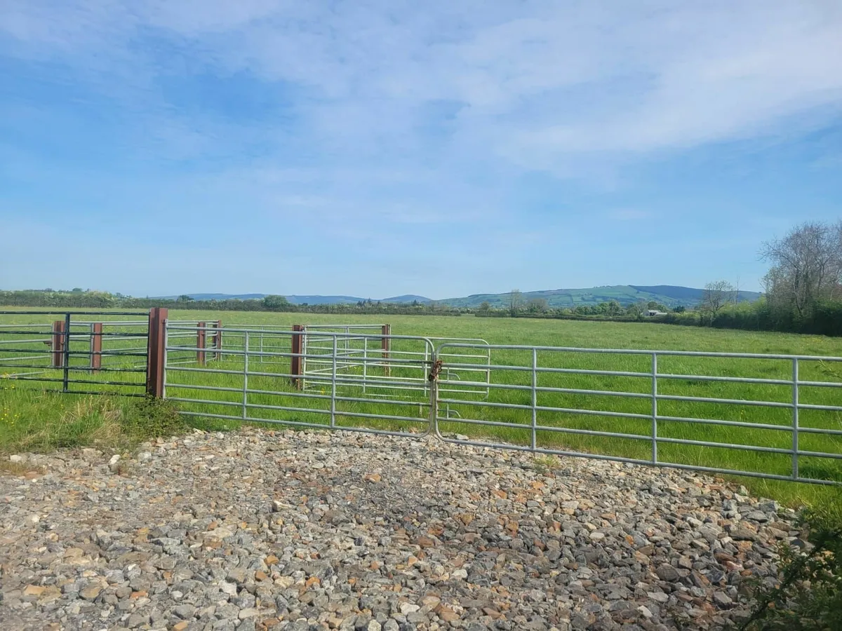 First cut silage - Image 1