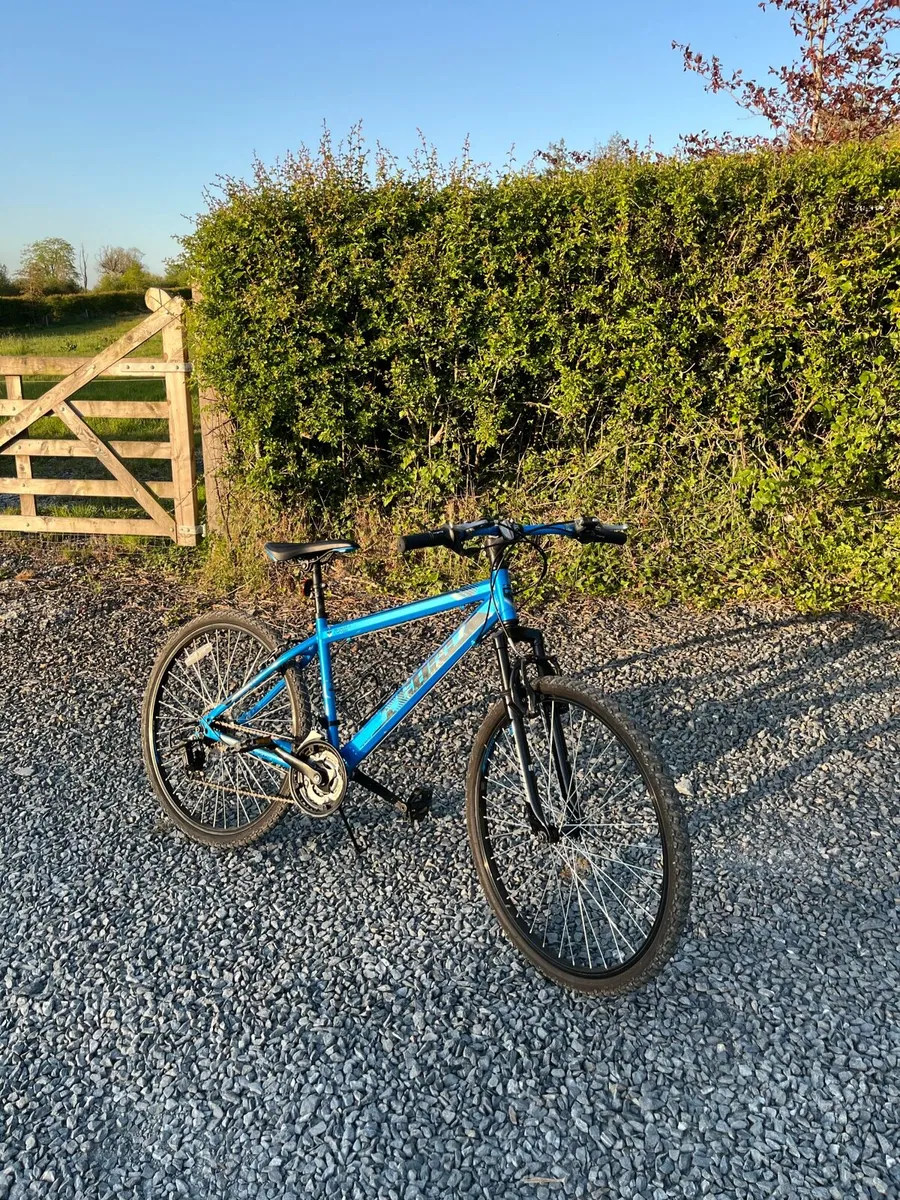 Blue 26” Team bicycle - Image 1