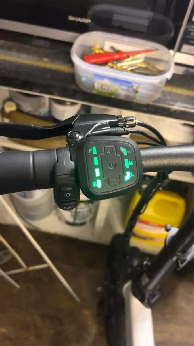 Fiddo D2S - Image 2