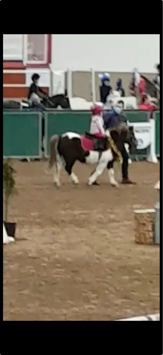 Pony - Image 2