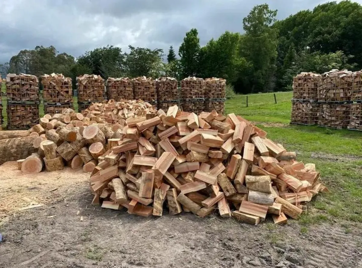 Firewood - Image 2