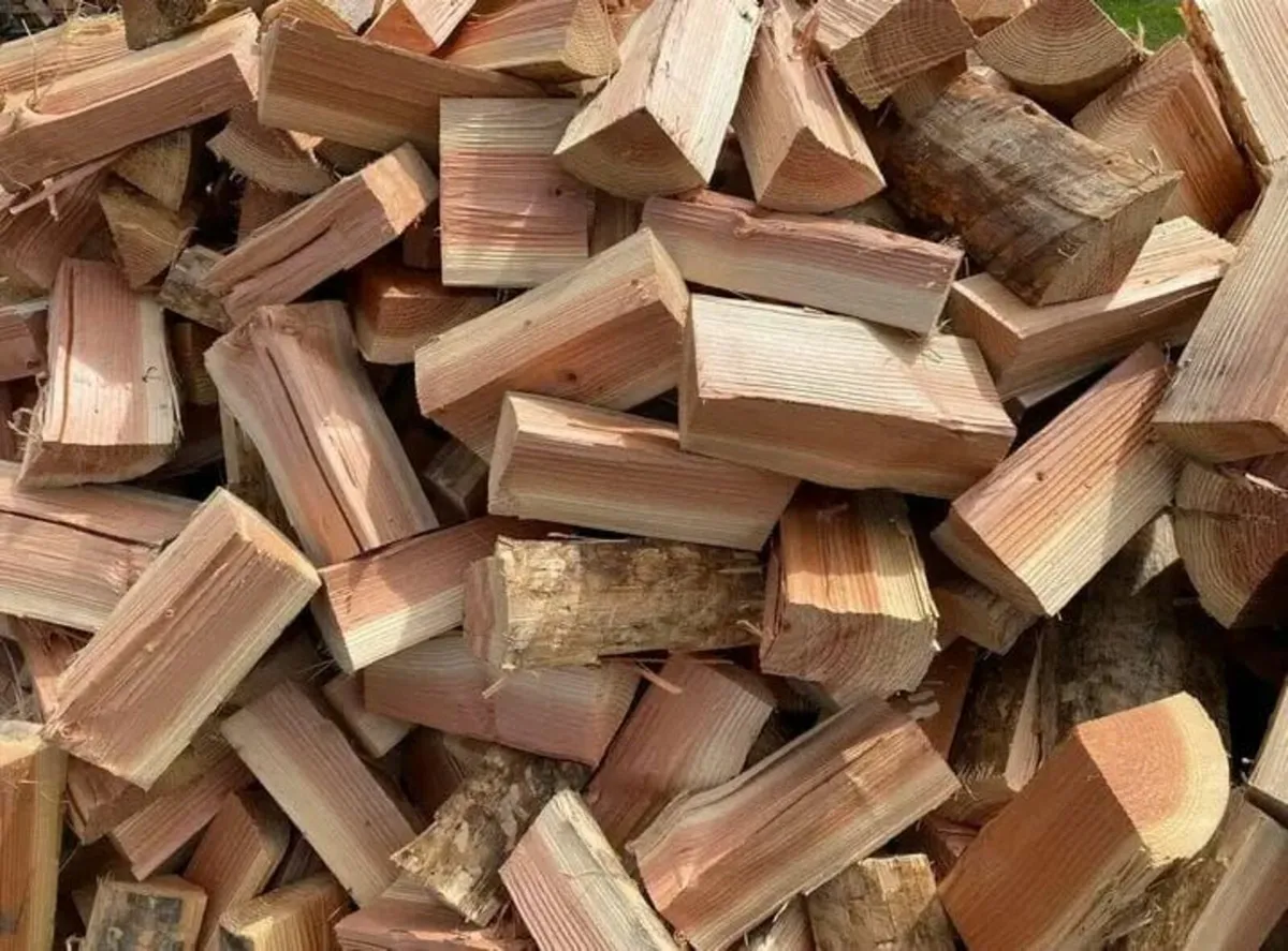 Firewood - Image 3