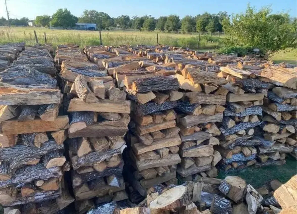 Firewood - Image 1