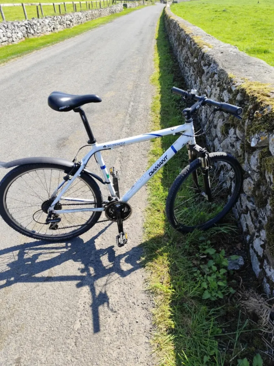 Bicycle - Image 3