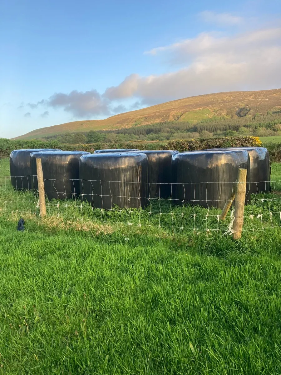 Haylage / hay bales - Image 2