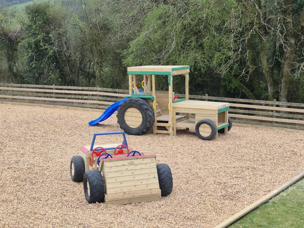 Wood chip - Image 4