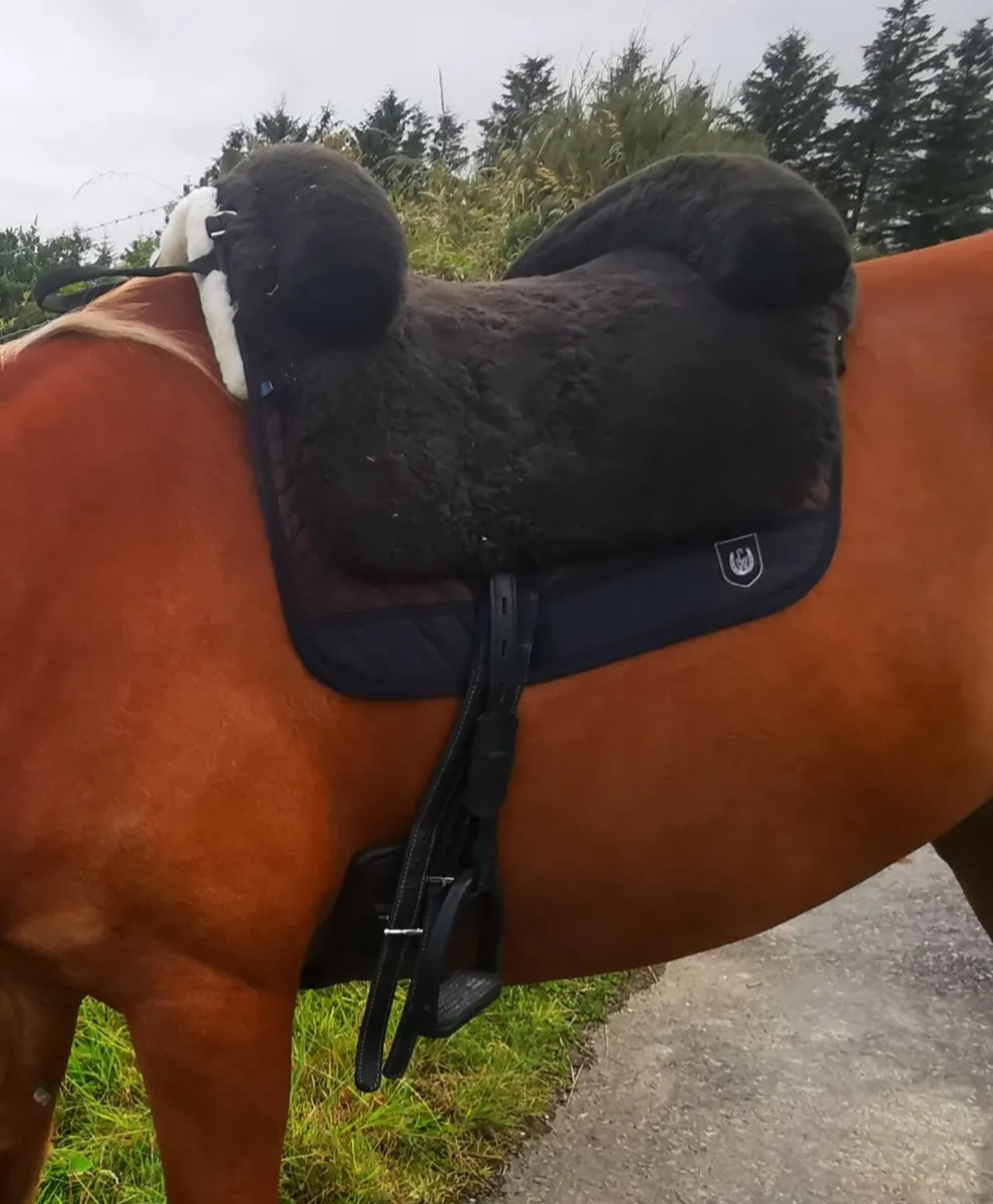 CL Iberica Plus Bareback Pad Brown - Image 2