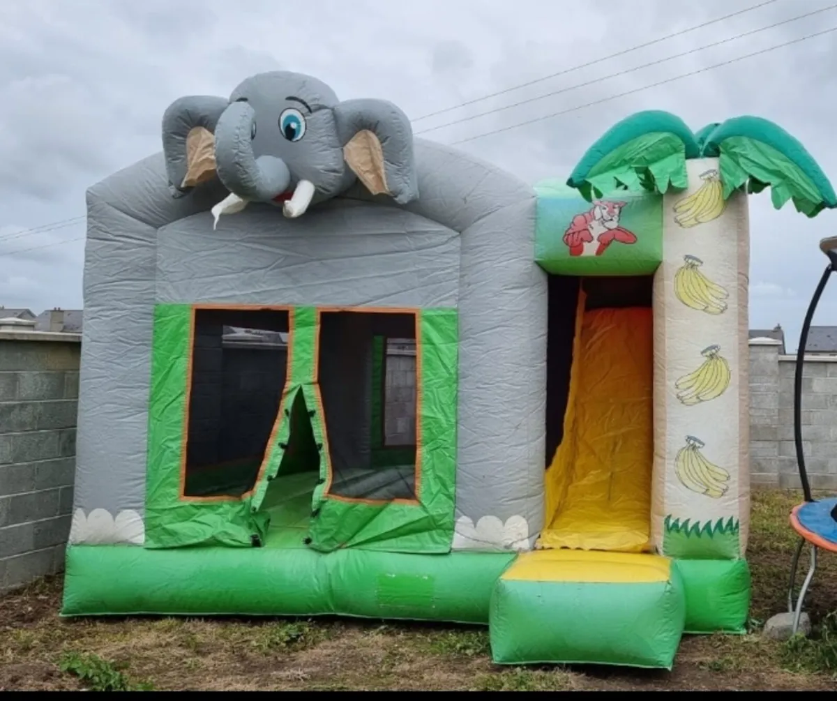 Bouncy Castle - Image 3