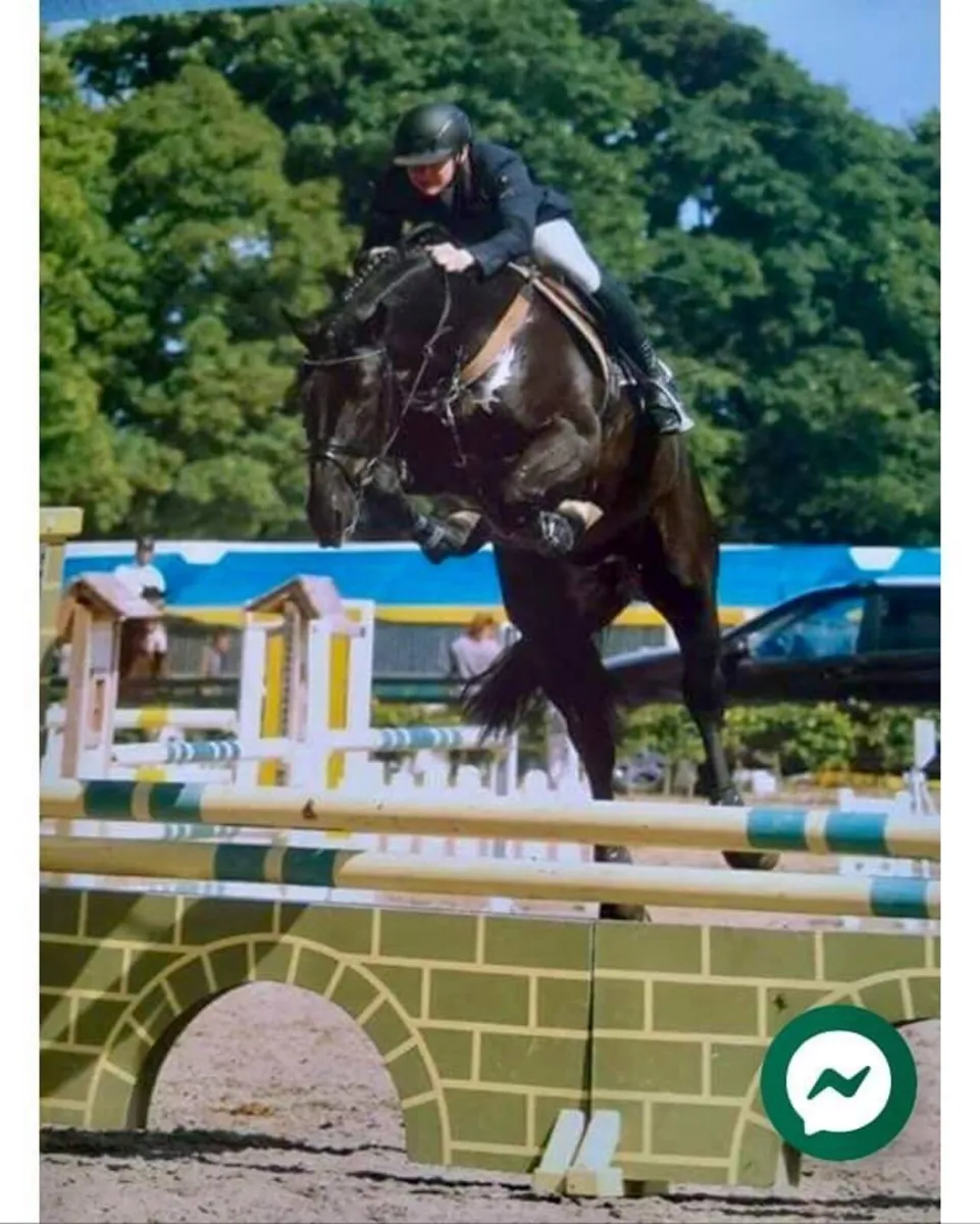 ☘️🇨🇮BLACK HERO ☘️🇨🇮 - Image 3