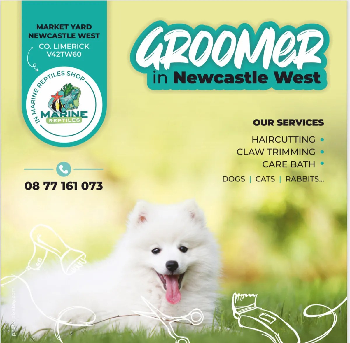 Groom Newcastle West