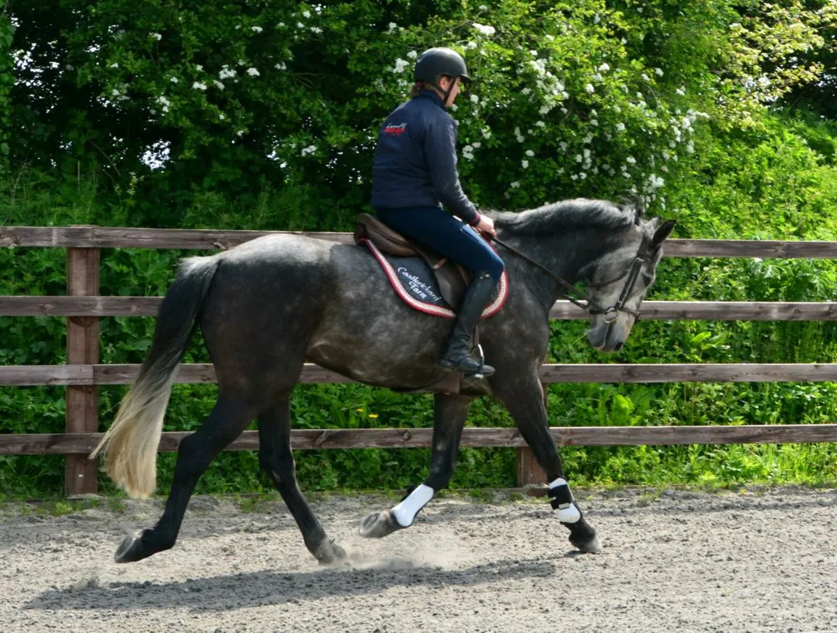 Sales, production and livery - Image 1