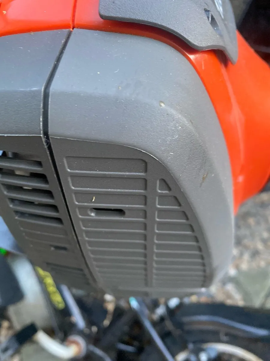 Strimmer - Image 3