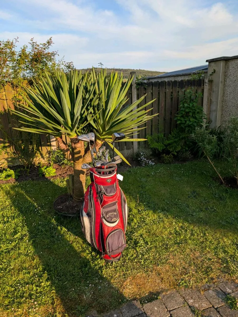 Fully loaded Callaway Golf set & odyssey putter - Image 1