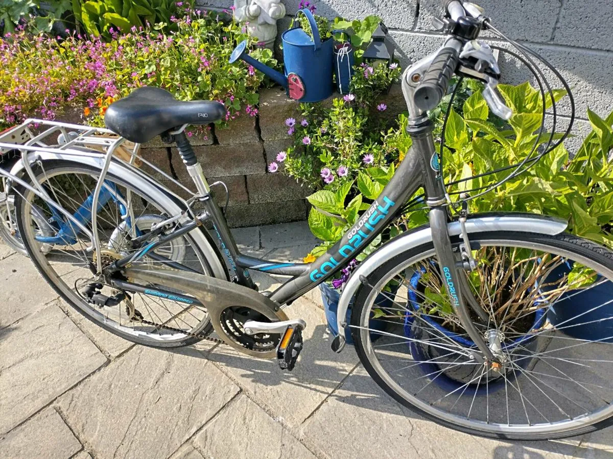 Ladies bike - Image 1