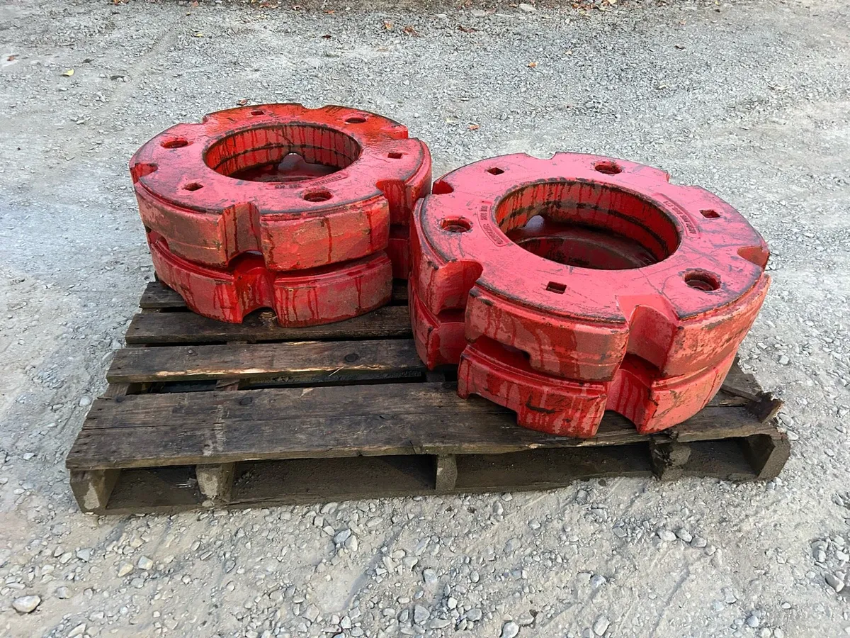 Fendt wheel weights - Image 1