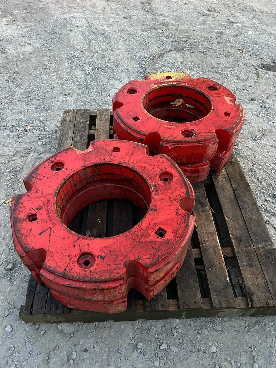 Fendt wheel weights - Image 2