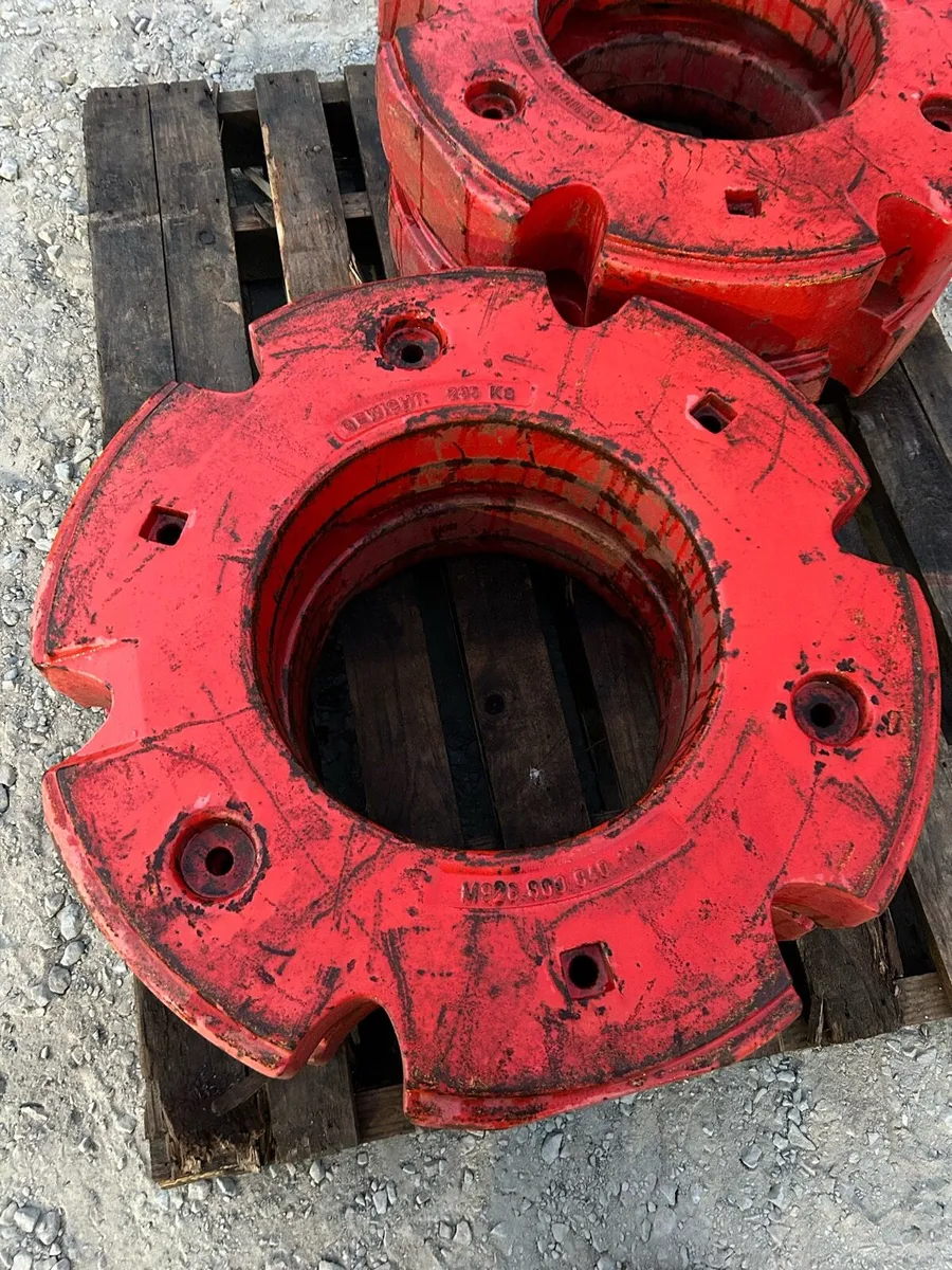 Fendt wheel weights - Image 4