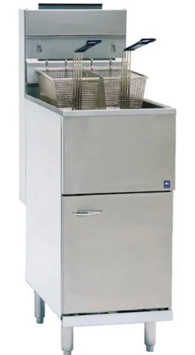 Electric Fryer