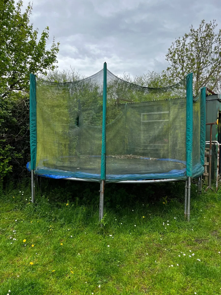 Trampoline - Image 1