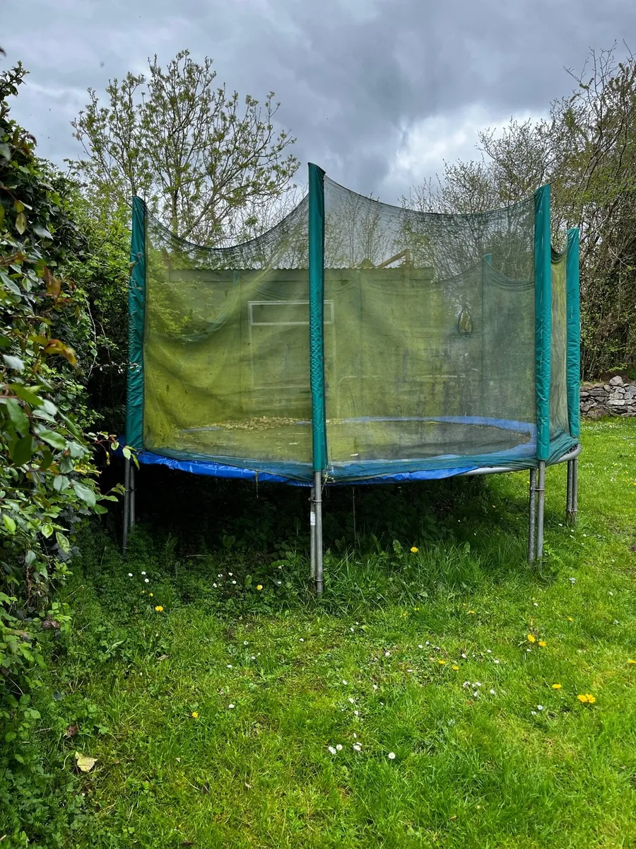 Trampoline - Image 2
