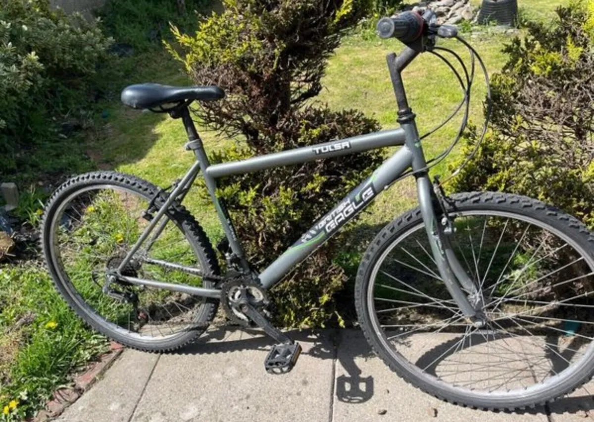Mountain bike