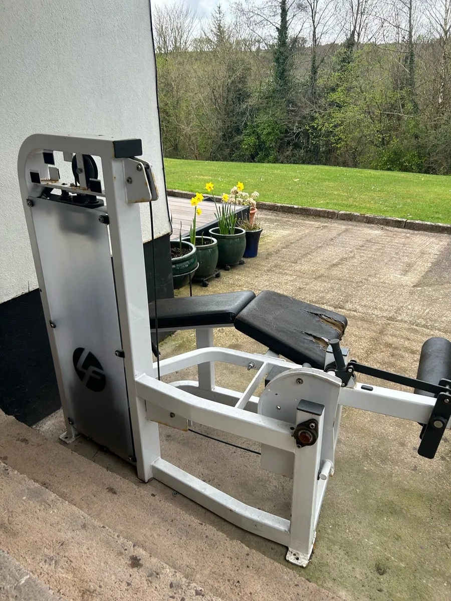 Hamstring Machine - Image 1