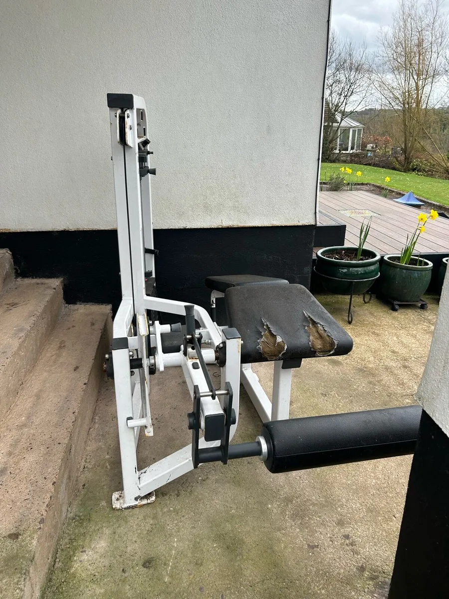 Hamstring Machine - Image 2