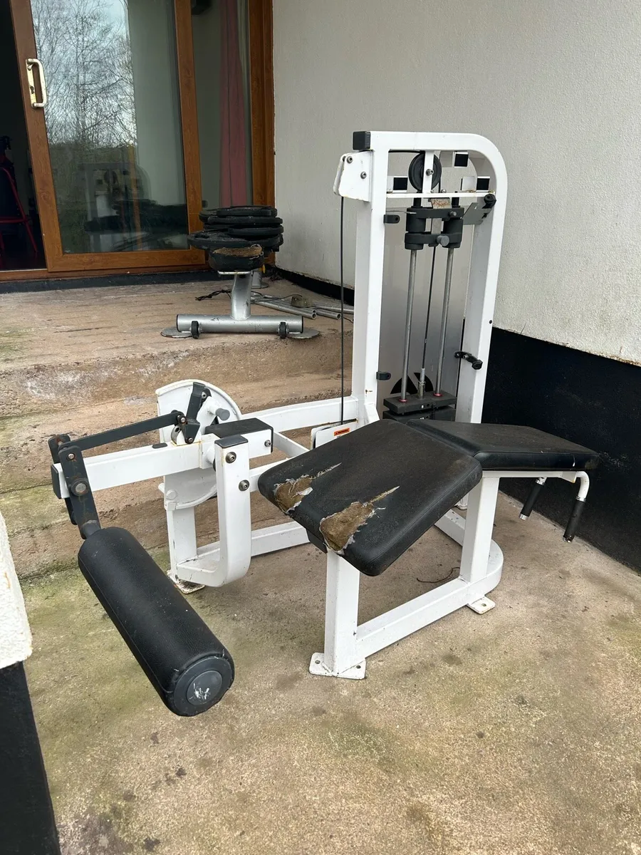 Hamstring Machine - Image 3