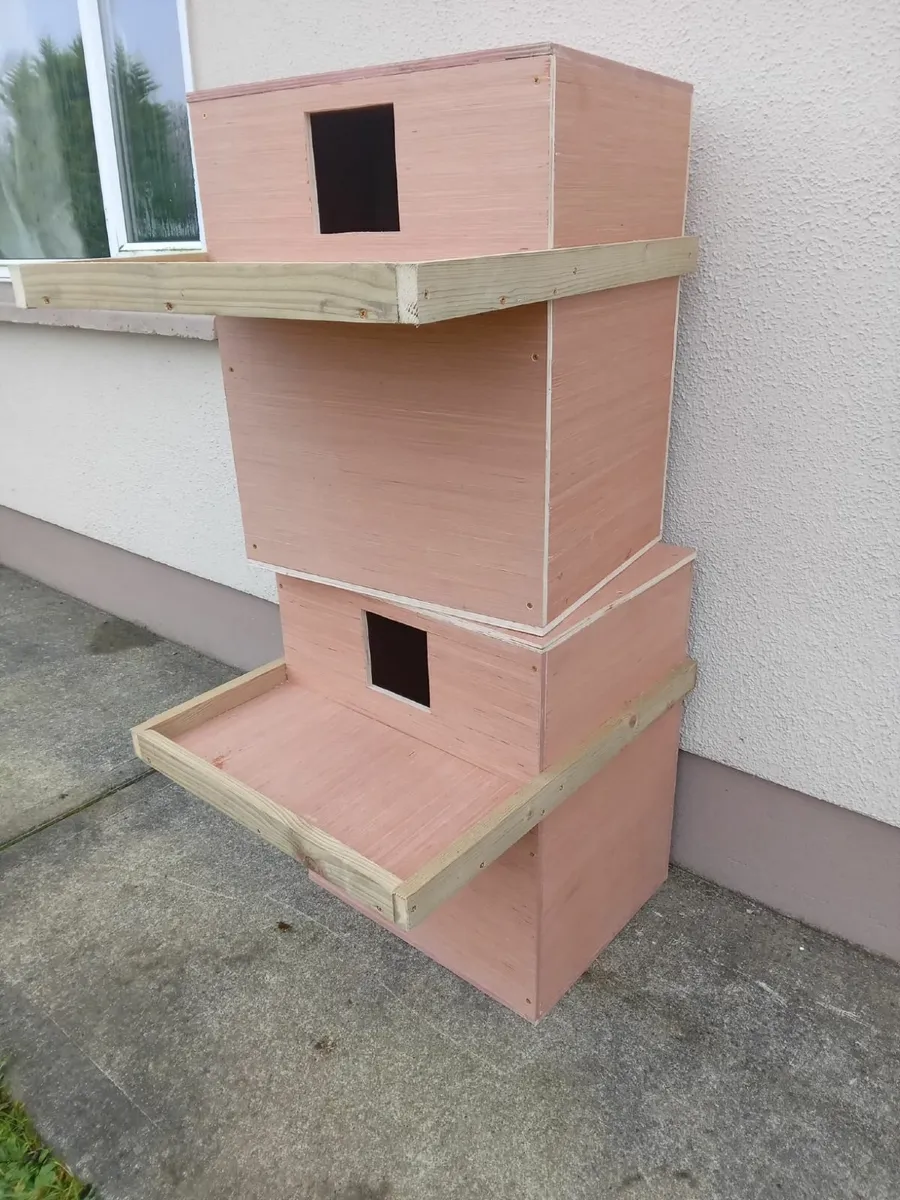 ACRES Approved Owl Boxes - 💥Nationwide Delivery💥 - Image 3