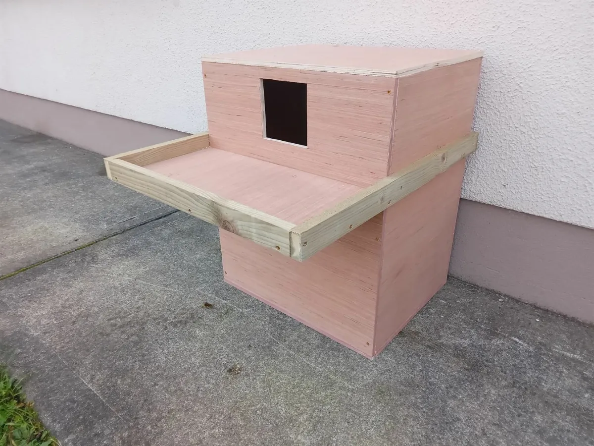 ACRES Approved Owl Boxes - 💥Nationwide Delivery💥 - Image 4