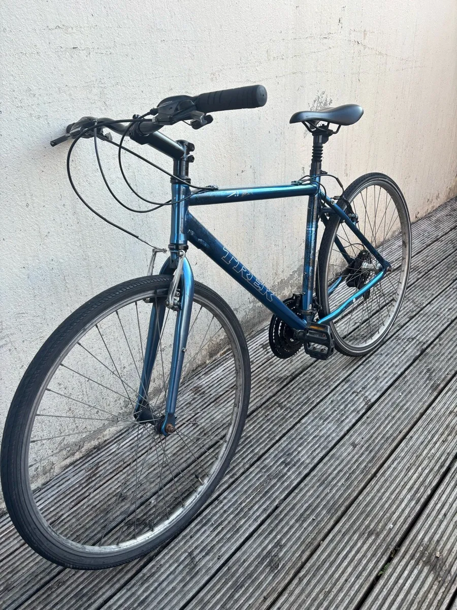 Adults bike trek - Image 2