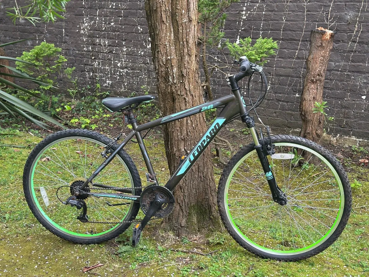 Bike - Image 1