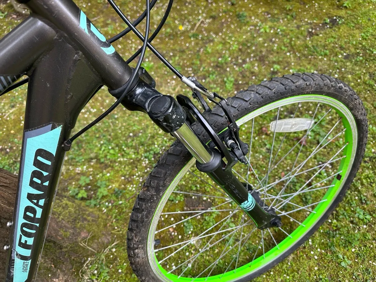 Bike - Image 2