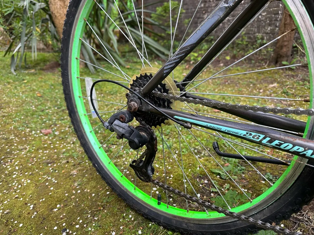 Bike - Image 3