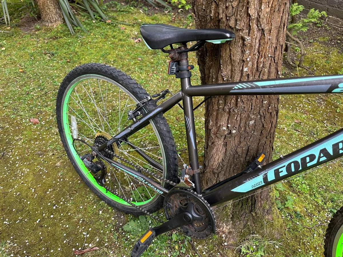 Bike - Image 4