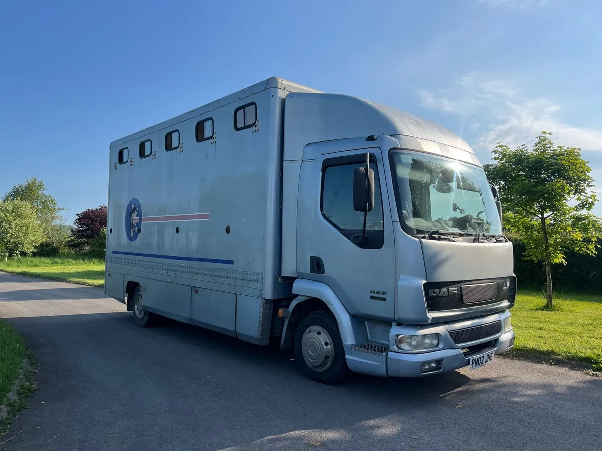 Daf LF Horsebox - Image 3