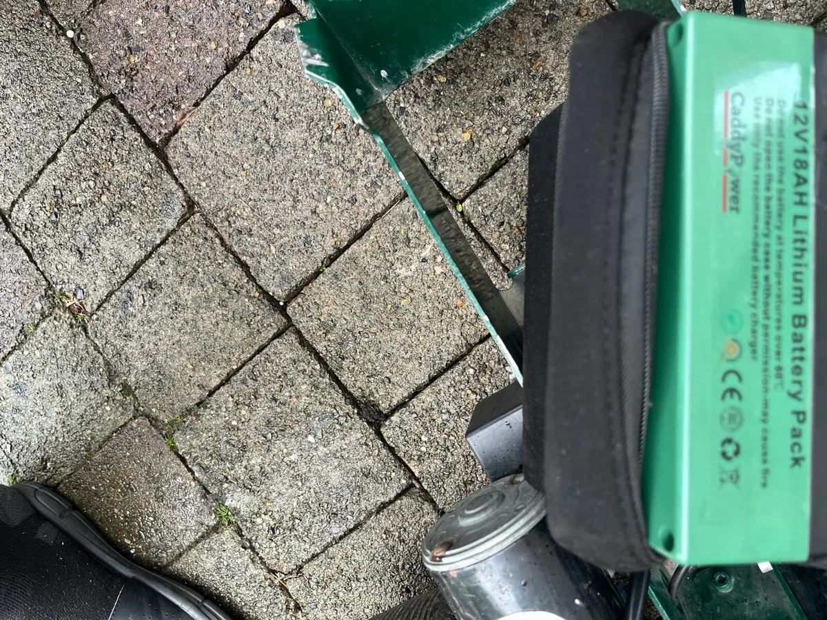 Golf cart - Image 3