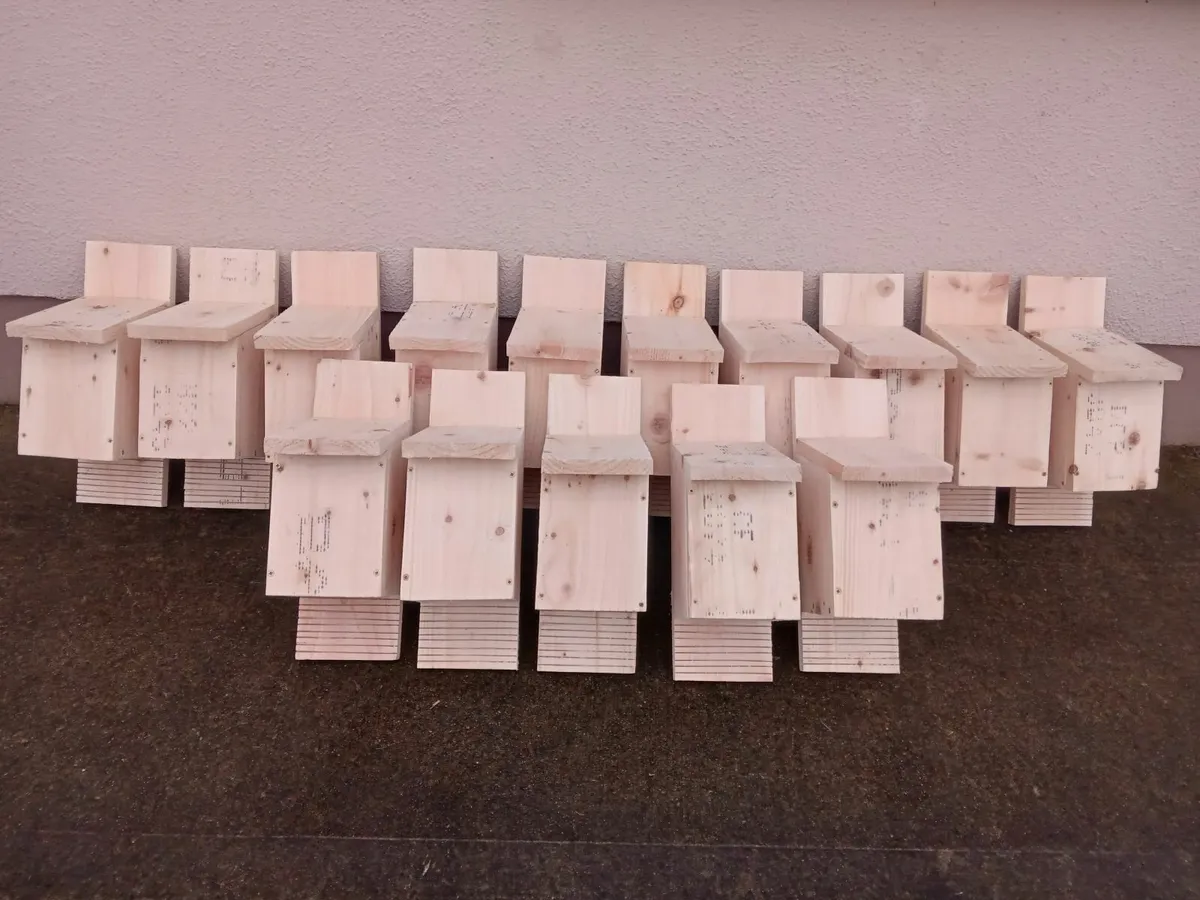 Bird Boxes - 💥Nationwide Delivery💥 - Image 4