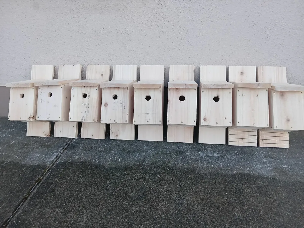 Bird Boxes - 💥Nationwide Delivery💥 - Image 1