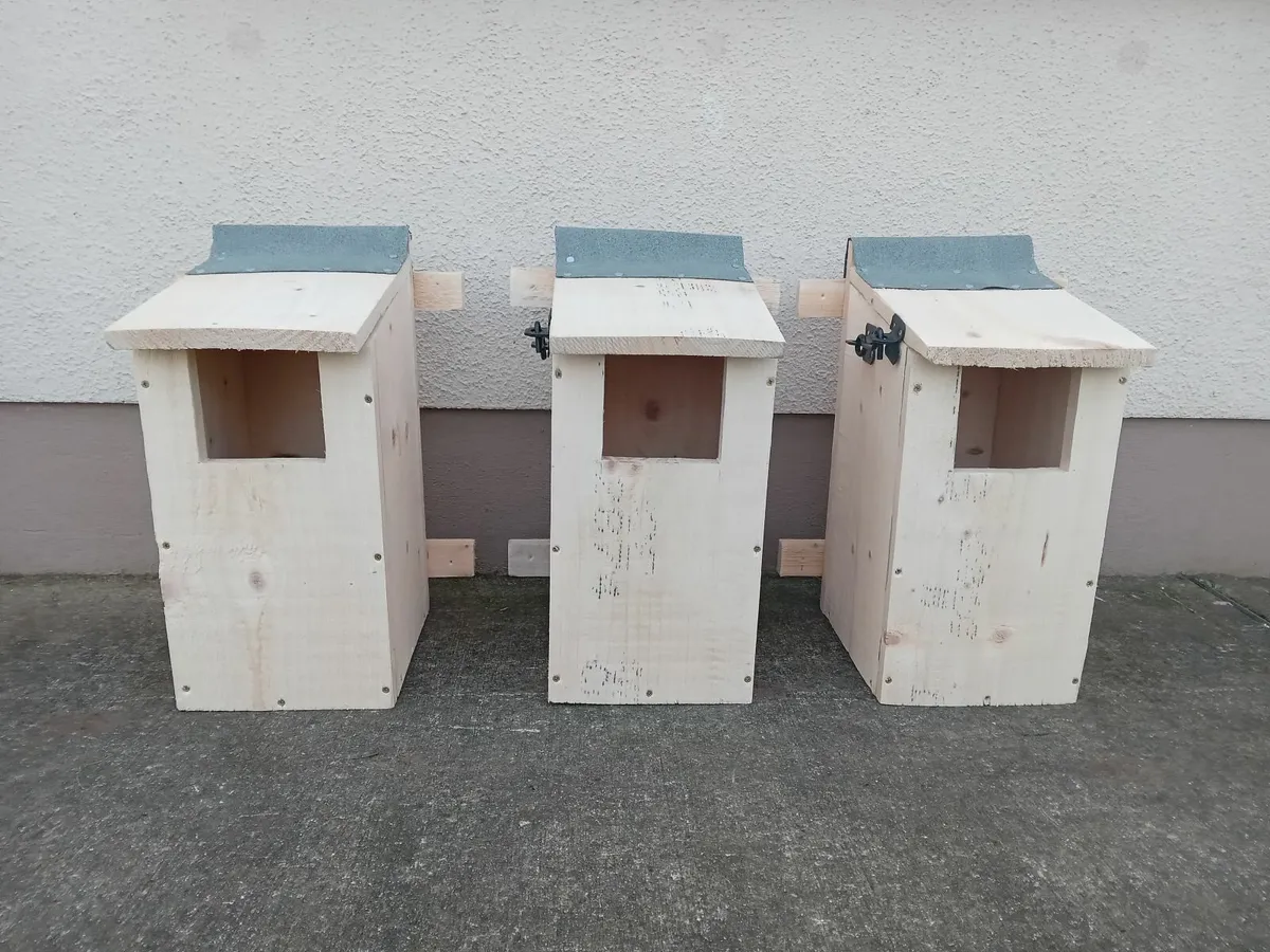 Bird Boxes - 💥Nationwide Delivery💥 - Image 4