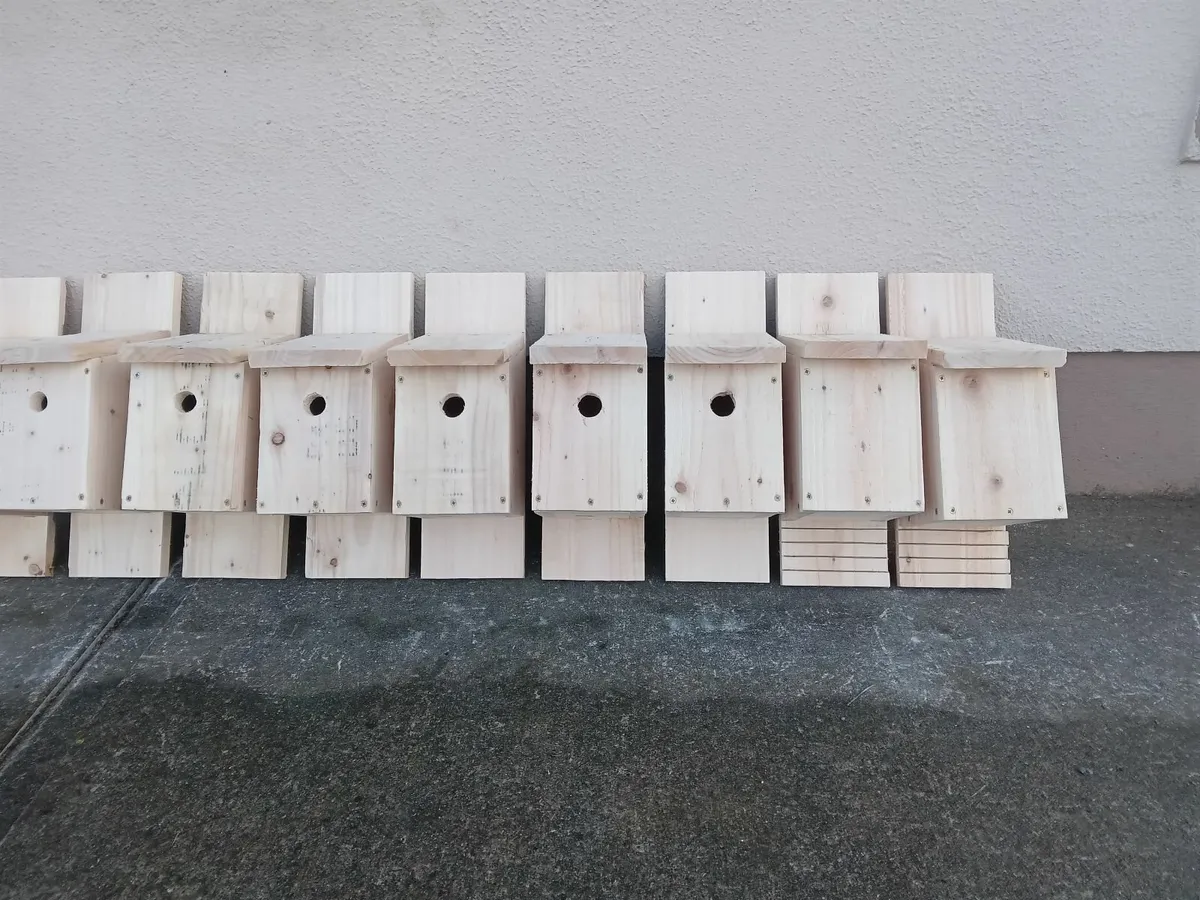 Bird Boxes - 💥Nationwide Delivery💥 - Image 2